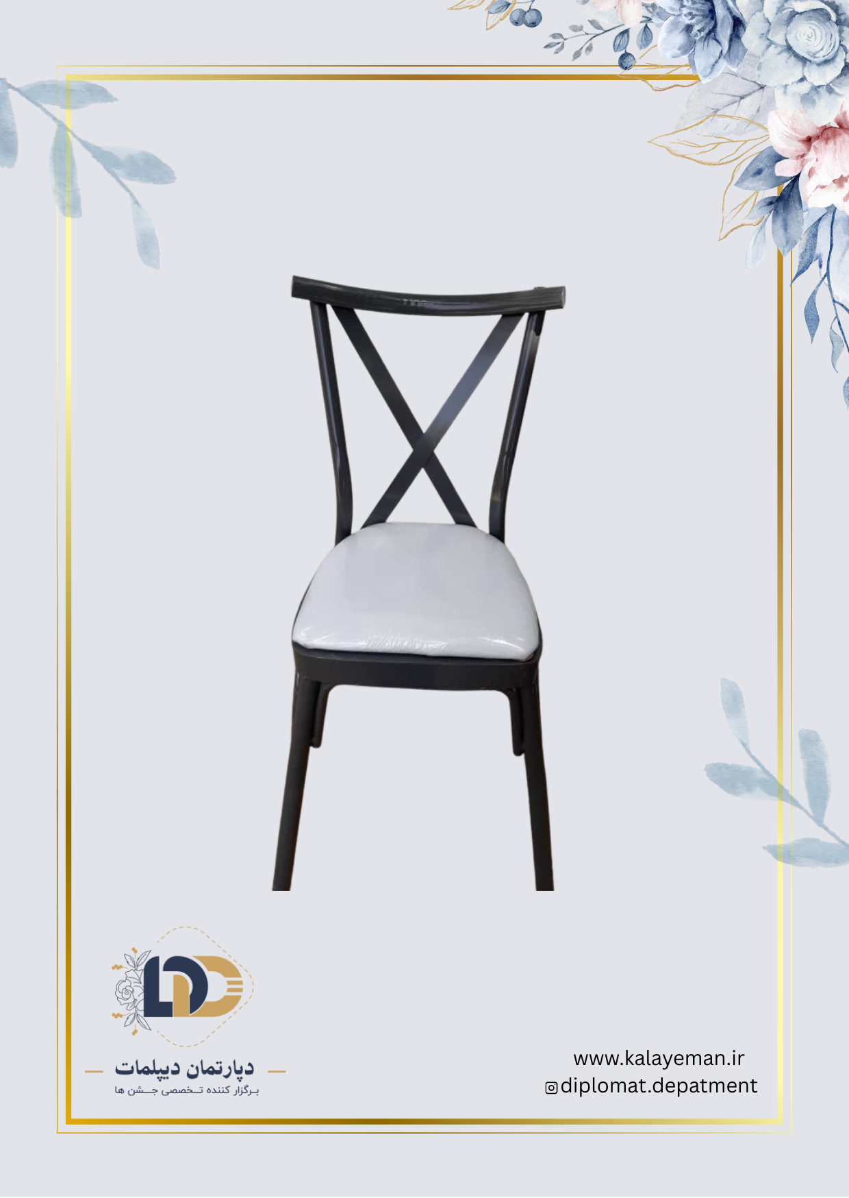 diplomat department - 2025-11-25T191134.034