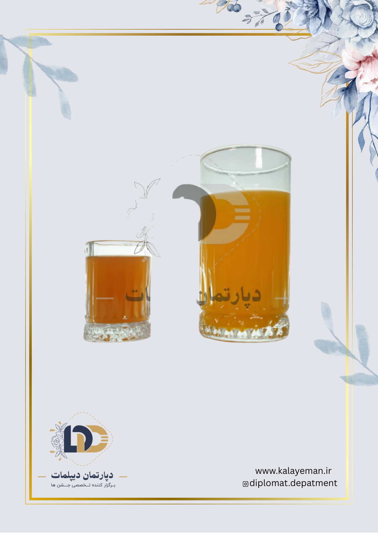 diplomat department (94)